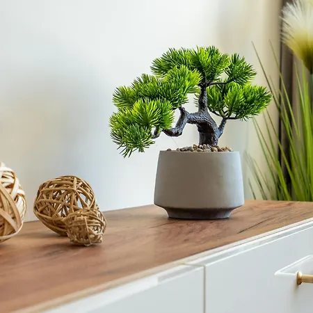 דירה Golden Mountains *